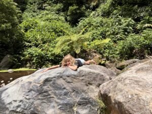 Levadas de Madeira: sendero por la selva con ninos